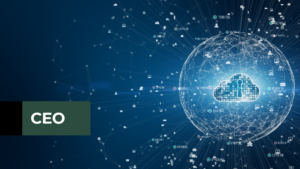 Certified Banking Cybersecurity C-Suite – CEO